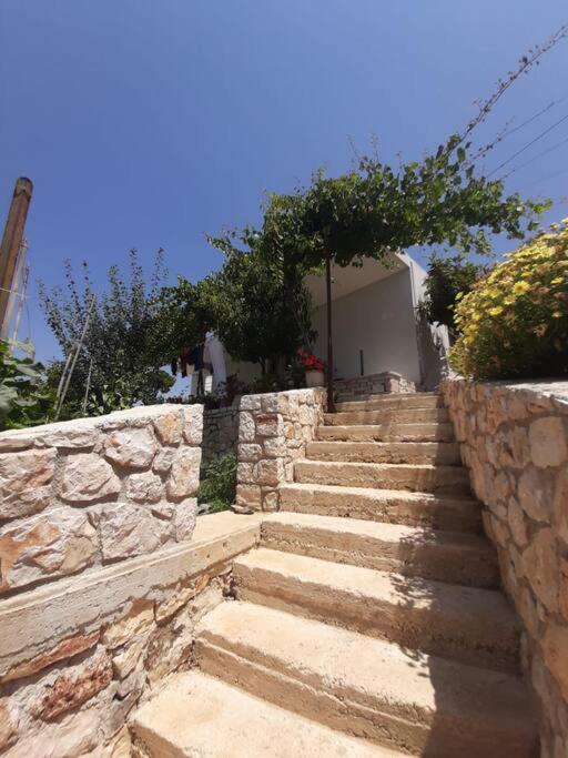 Apartament Emilio